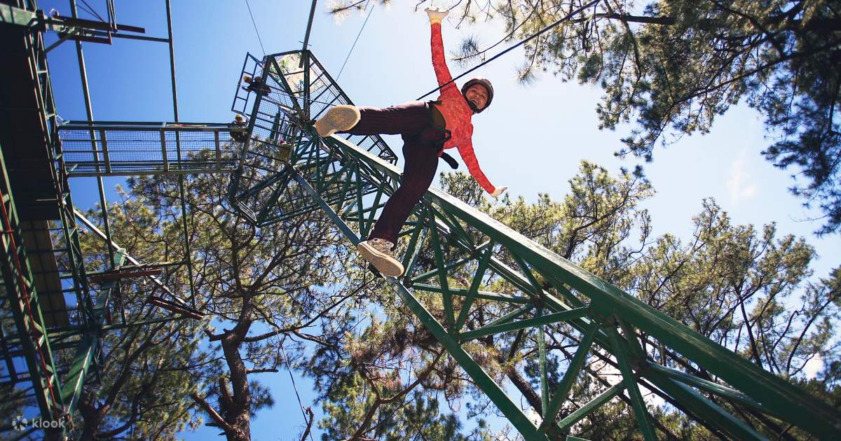 Tree Top Adventure Baguio Klook Philippines